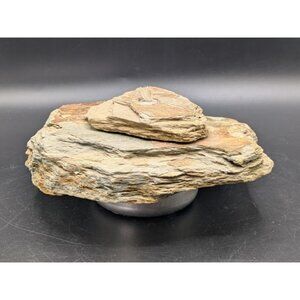 Natural Rock Stone Slate Oil Lamp Candle Tabletop Tan Blue 6"